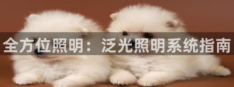 全方位照明:泛光照明系统指南