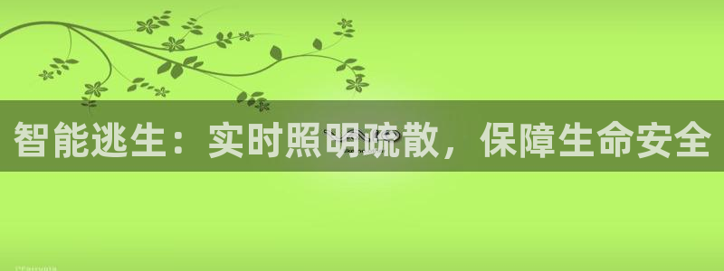 智能逃生：实时照明疏散，保障生命安全