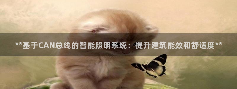 **基于CAN总线的智能照明系统:提升建筑能效和舒适度**