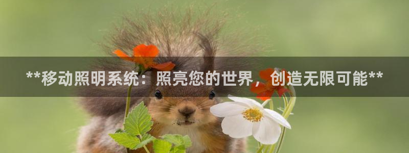 **移动照明系统：照亮您的世界，创造无限可能**