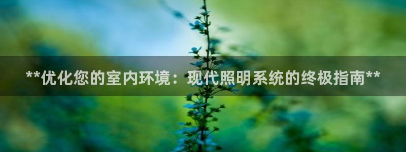 **优化您的室内环境：现代照明系统的终极指南**