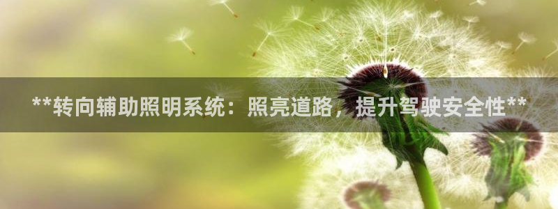 **转向辅助照明系统:照亮道路,提升驾驶安全性**