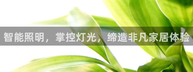 智能照明，掌控灯光，缔造非凡家居体验