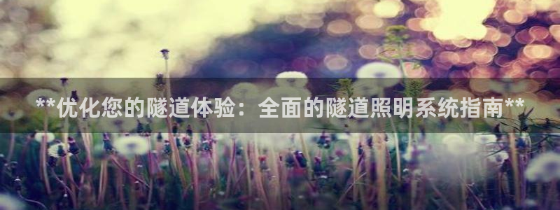 **优化您的隧道体验：全面的隧道照明系统指南**