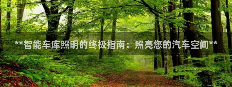 **智能车库照明的终极指南：照亮您的汽车空间**