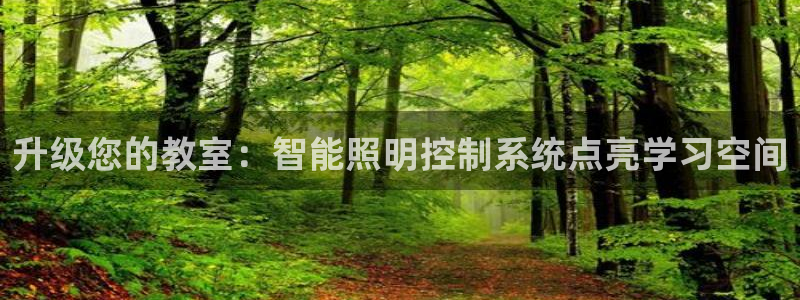 升级您的教室：智能照明控制系统点亮学习空间