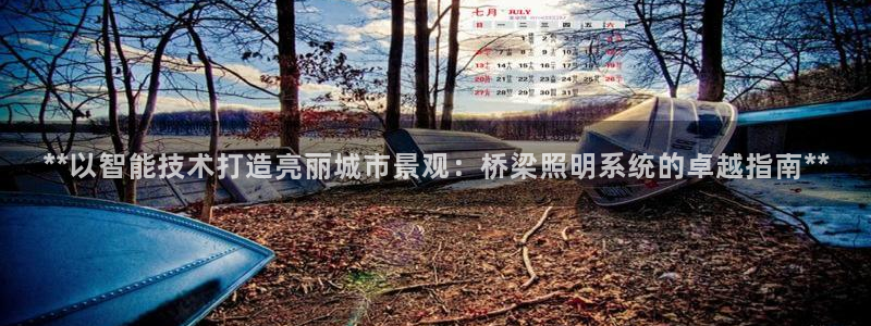 **以智能技术打造亮丽城市景观：桥梁照明系统的卓越指南**