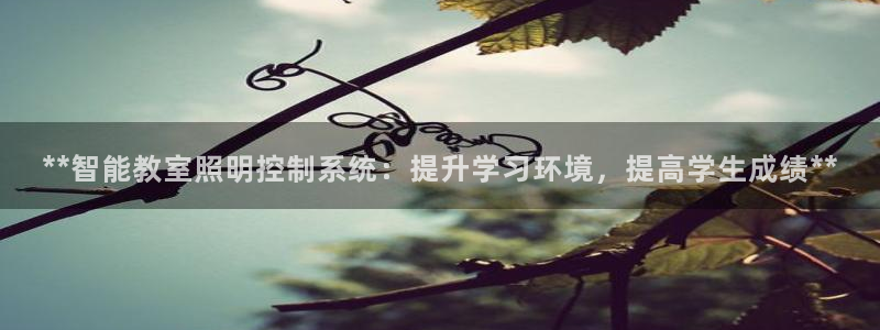 **智能教室照明控制系统：提升学习环境，提高学生成绩**