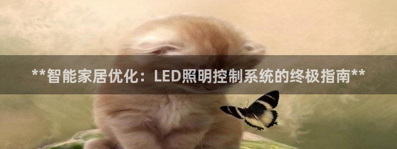 **智能家居优化：LED照明控制系统的终极指南**