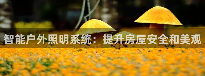 智能户外照明系统：提升房屋安全和美观