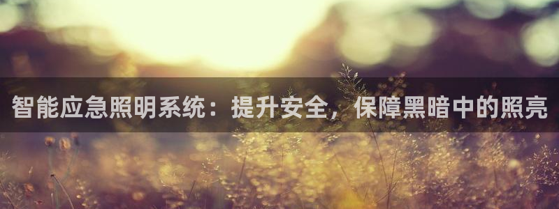 智能应急照明系统：提升安全，保障黑暗中的照亮