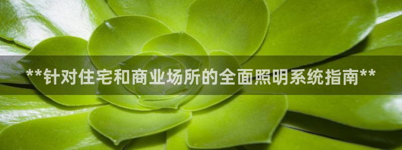 **针对住宅和商业场所的全面照明系统指南**