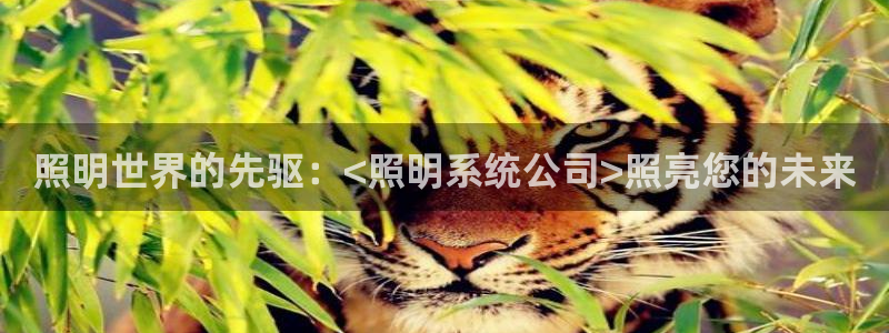 照明世界的先驱:<照明系统公司>照亮您的未来