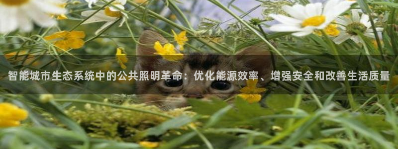 智能城市生态系统中的公共照明革命：优化能源效率、增强安全和改善生活质量