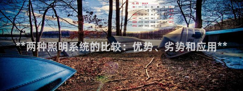 **两种照明系统的比较：优势、劣势和应用**