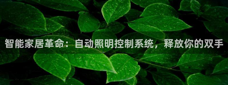 智能家居革命：自动照明控制系统，释放你的双手