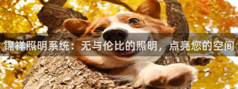锦祥照明系统:无与伦比的照明,点亮您的空间