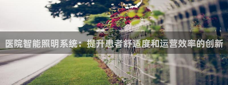 医院智能照明系统：提升患者舒适度和运营效率的创新
