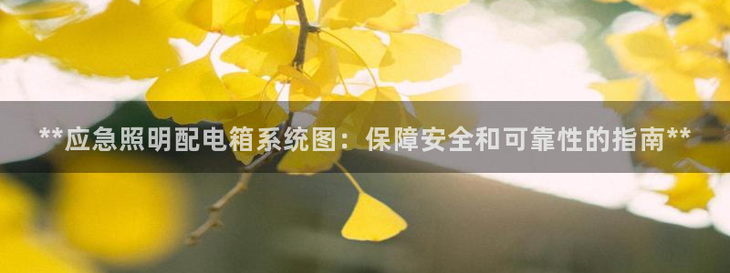 **应急照明配电箱系统图：保障安全和可靠性的指南**