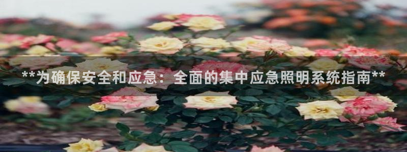 **为确保安全和应急：全面的集中应急照明系统指南**