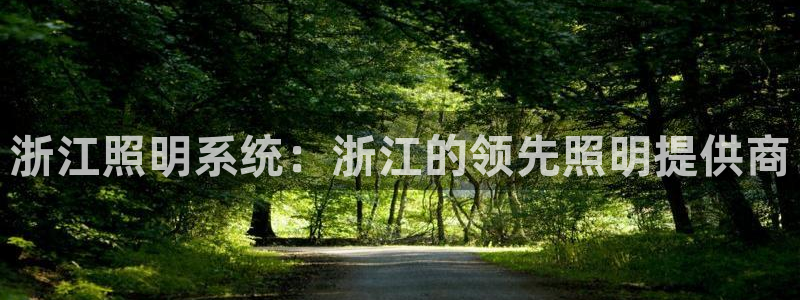 浙江照明系统：浙江的领先照明提供商