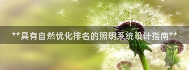 **具有自然优化排名的照明系统设计指南**