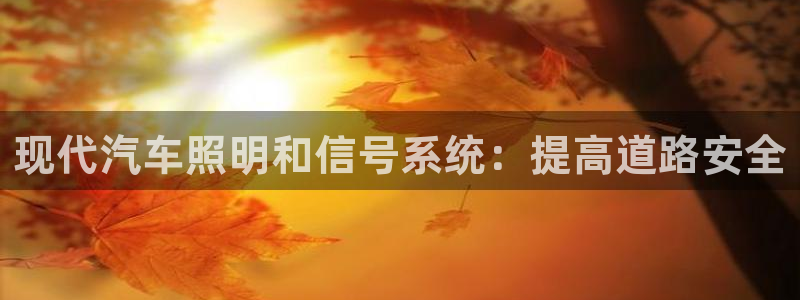 现代汽车照明和信号系统：提高道路安全