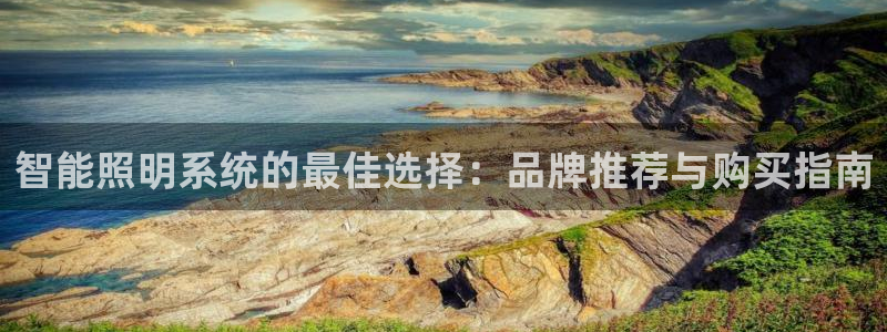 智能照明系统的最佳选择：品牌推荐与购买指南