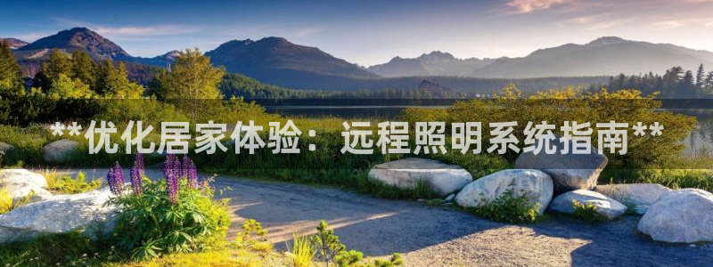 **优化居家体验：远程照明系统指南**