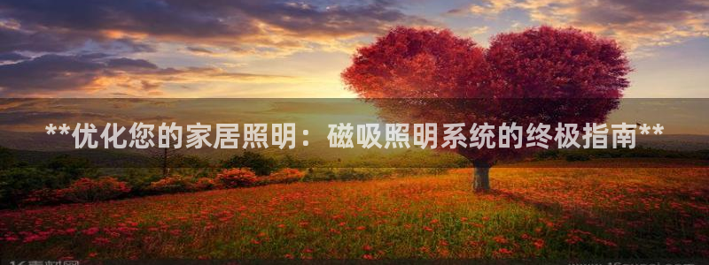 **优化您的家居照明：磁吸照明系统的终极指南**