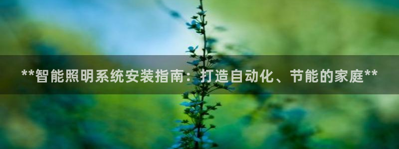 **智能照明系统安装指南：打造自动化、节能的家庭**