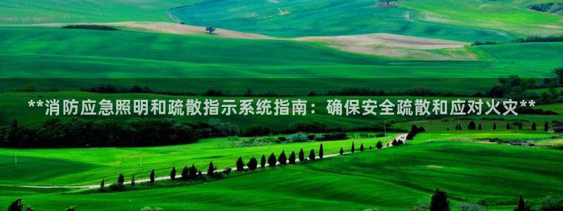 **消防应急照明和疏散指示系统指南：确保安全疏散和应对火灾**