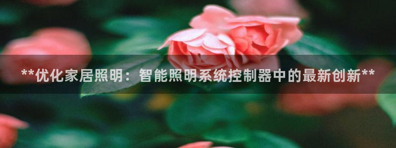 **优化家居照明：智能照明系统控制器中的最新创新**