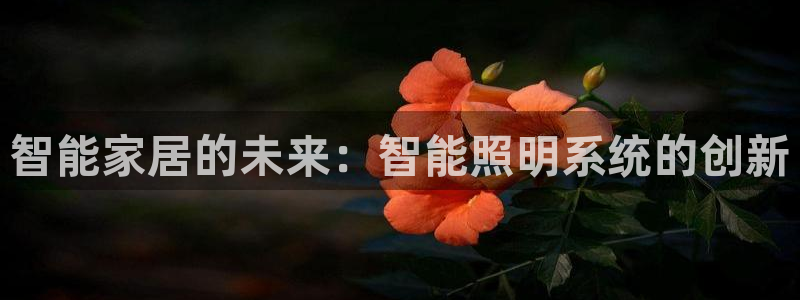 智能家居的未来：智能照明系统的创新