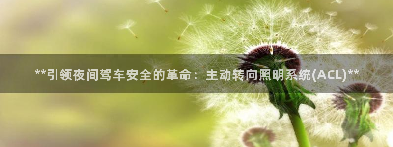 **引领夜间驾车安全的革命：主动转向照明系统(ACL)**
