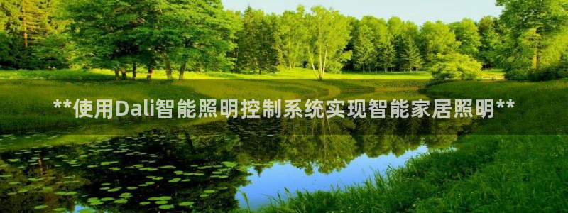**使用Dali智能照明控制系统实现智能家居照明**