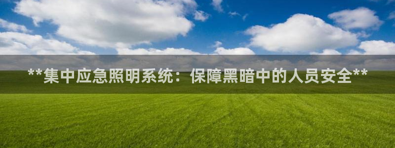 **集中应急照明系统:保障黑暗中的人员安全**