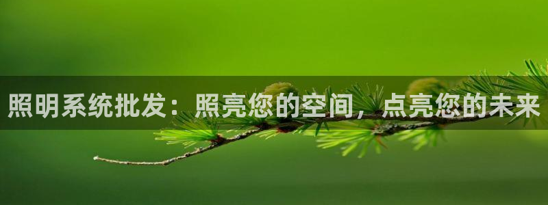 照明系统批发：照亮您的空间，点亮您的未来