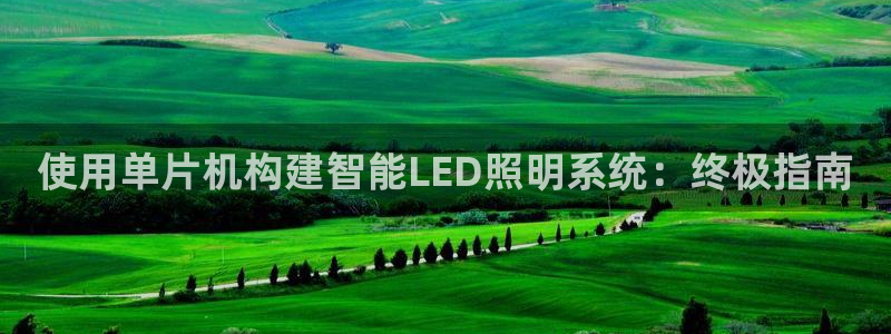 使用单片机构建智能LED照明系统：终极指南