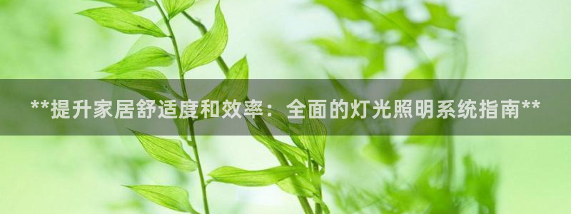 **提升家居舒适度和效率：全面的灯光照明系统指南**