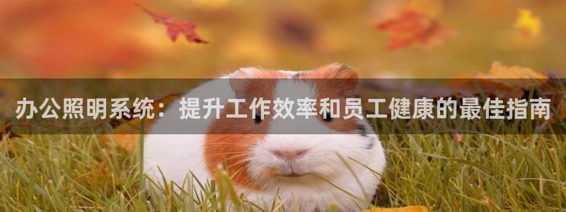 办公照明系统：提升工作效率和员工健康的最佳指南