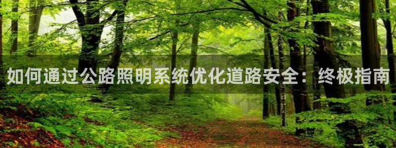 如何通过公路照明系统优化道路安全：终极指南