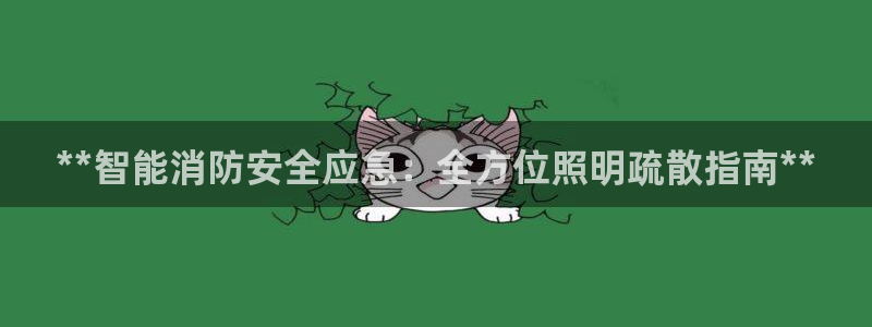 **智能消防安全应急：全方位照明疏散指南**