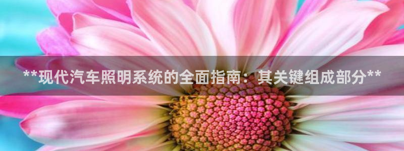 **现代汽车照明系统的全面指南：其关键组成部分**