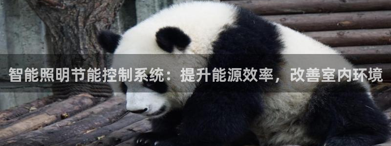 智能照明节能控制系统：提升能源效率，改善室内环境