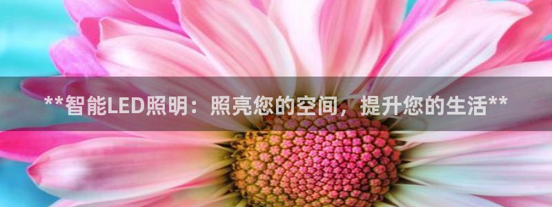 **智能LED照明:照亮您的空间,提升您的生活**