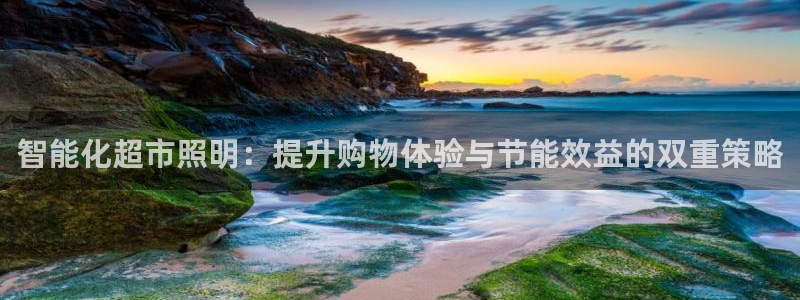 智能化超市照明:提升购物体验与节能效益的双重策略