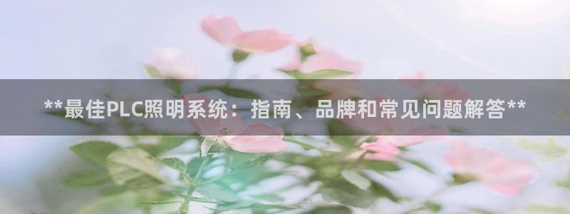 **最佳PLC照明系统：指南、品牌和常见问题解答**