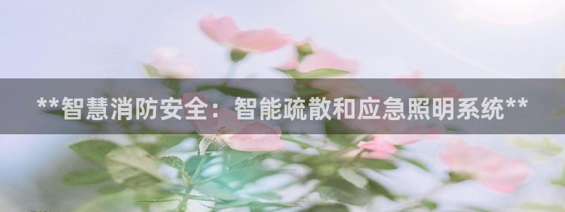 **智慧消防安全:智能疏散和应急照明系统**