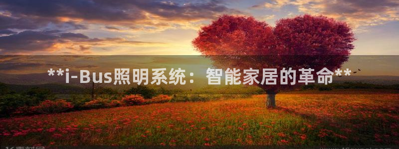**i-Bus照明系统：智能家居的革命**